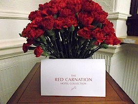 Red Carnation 5
