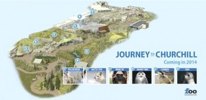 Journey to Churchill, a new 10-acre Arctic exhibit, will open at Assiniboine Park Zoo this summer
