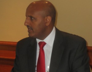 Tewolde Gebremariam,CEO