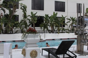 The pool at the Bohemian Hotel
