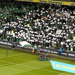 Ireland Fans at Aviva Stadium