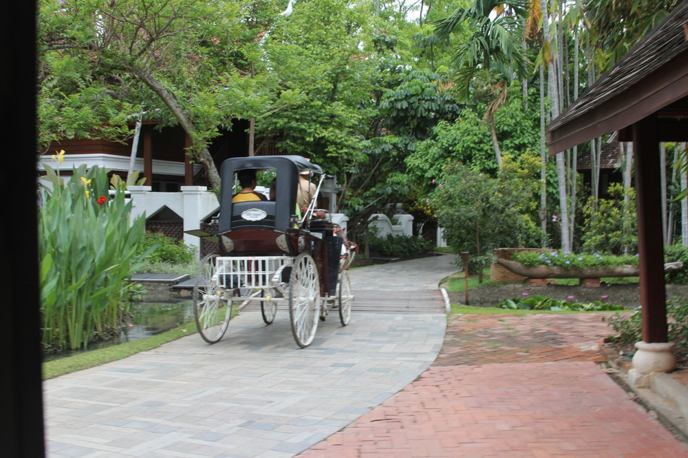 A drive around the grounds by hose drawn carriage.