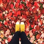 Air Transat Autumn Colours