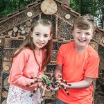 Dublin Airport Bug Hotel
