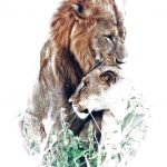 Chani Anderson, The Embrace