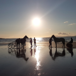 Niamh Quinlan, HItching A Ride On Rossbeigh