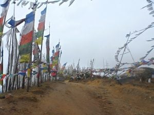 Prayer flags at the Chelela Pass