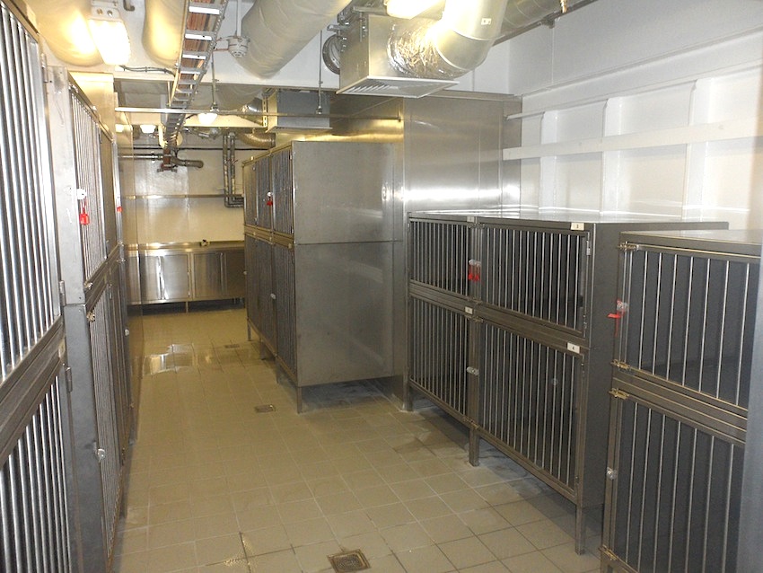 Taking a Literary Sailing to France with Irish Ferries on W.B. Yeats