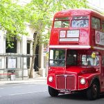 Afternoon Tea Bus Tour 1