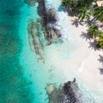 Brand new itineraries sailings from barbados