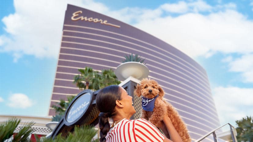 Wynn_Dog-walk_6_828x466