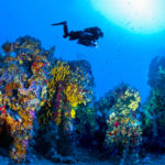 HMS Southwold – diving