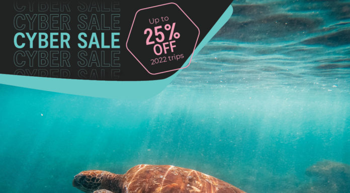 Intrepid Travel offers up to 25% off with Cyber Week offers