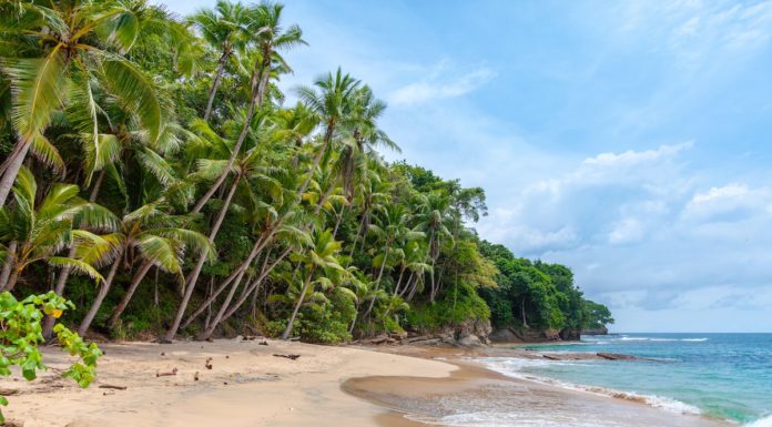 Tahiti Tourism encouraging agents with training programme