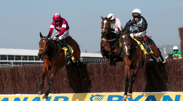 Ryanair puts on 4,000 extra seats for Cheltenham