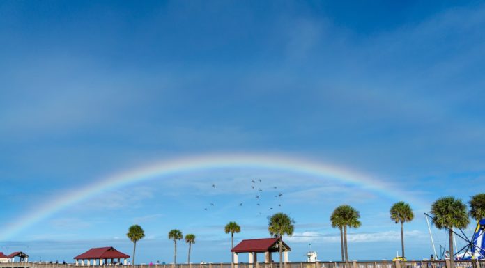 Rooster Awarded Expanded Visit St. Pete/Clearwater Brief Covering PR and Marketing