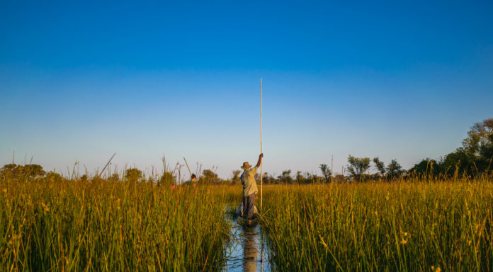 Join Intrepid for its Bucket List webinar series