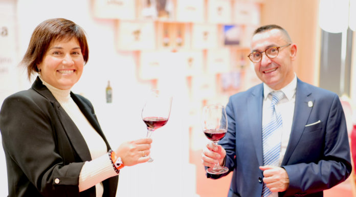 Visit La Rioja: the region, rather than the wine