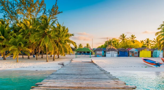 The Caribbean is Coming to Cork