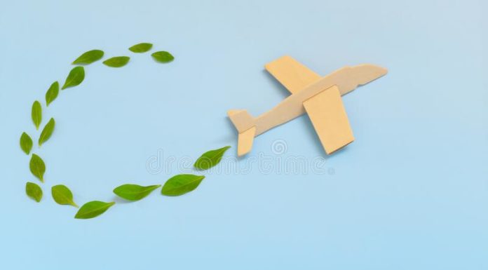 Trip.com and WTTC Report Shows Move Towards Sustainable Travel