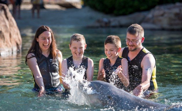 SeaWorld Parks launch 2023 Discovery Cove early offer