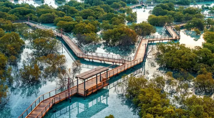 Etihad opens mangrove forest to tackle lower carbon emissions
