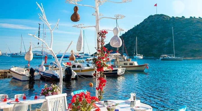 All in Türkiye Training Platform Launches