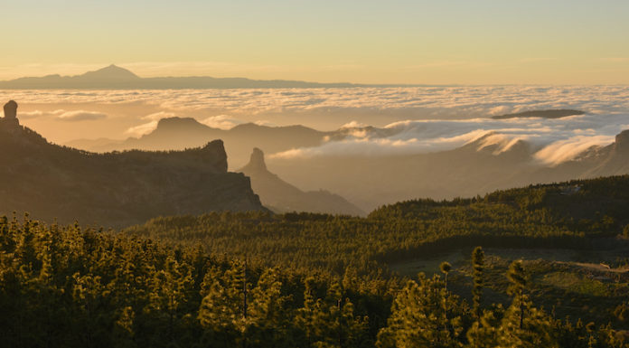 Celebrate Earth Day 2022 in the Canary Islands