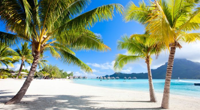 Ryanair launches 7 days of super saver offers from next week