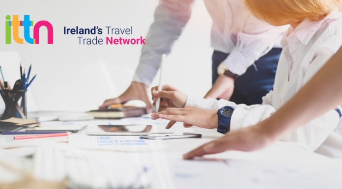 Meet the Team at ITTN