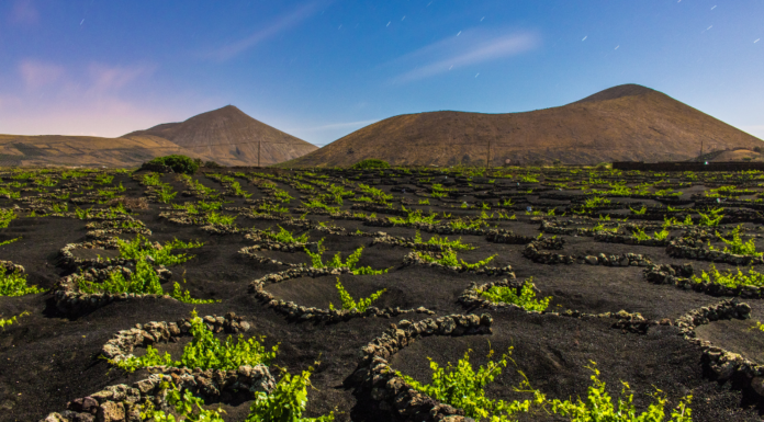 Cave Tours and the Influence of César Manrique, ITTN’s First day in Lanzarote