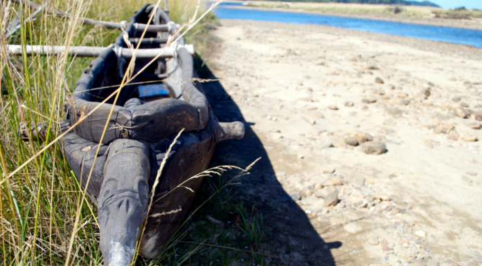 Air New Zealand Highlights Māori Culture in New Safety Video