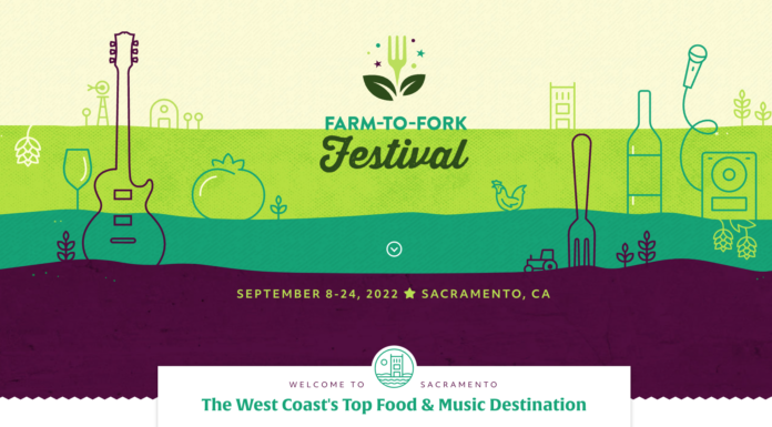 Inspiration for Festival Season Stateside