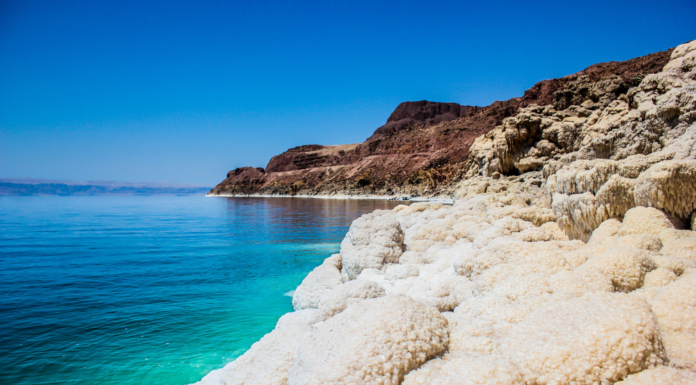 Dream Holiday Available to Win at Upcoming TSN Roadshows