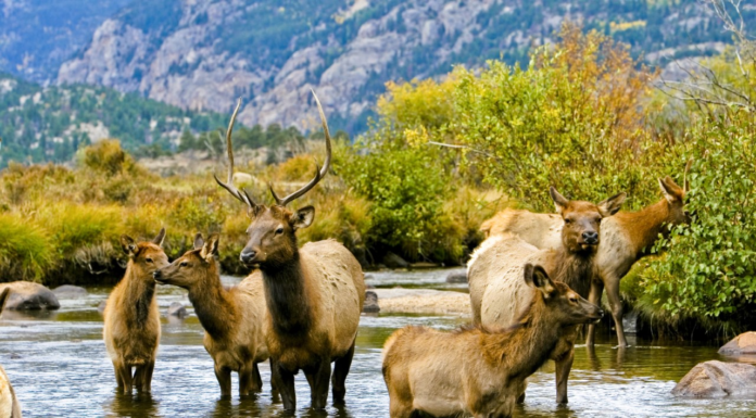 Colorado Focuses on Footprint