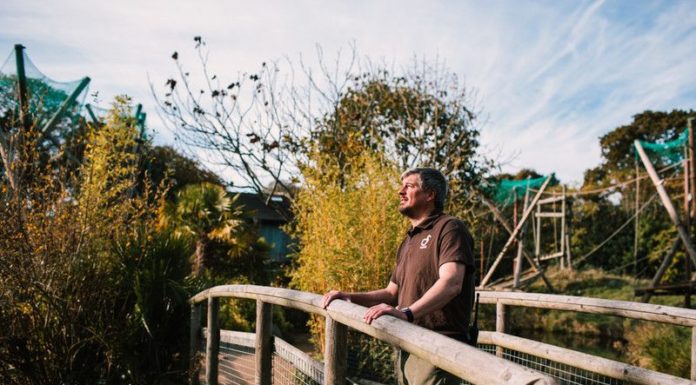 Jersey Zoo Becomes the First Zoo in Europe to be Certified Sensory Inclusive