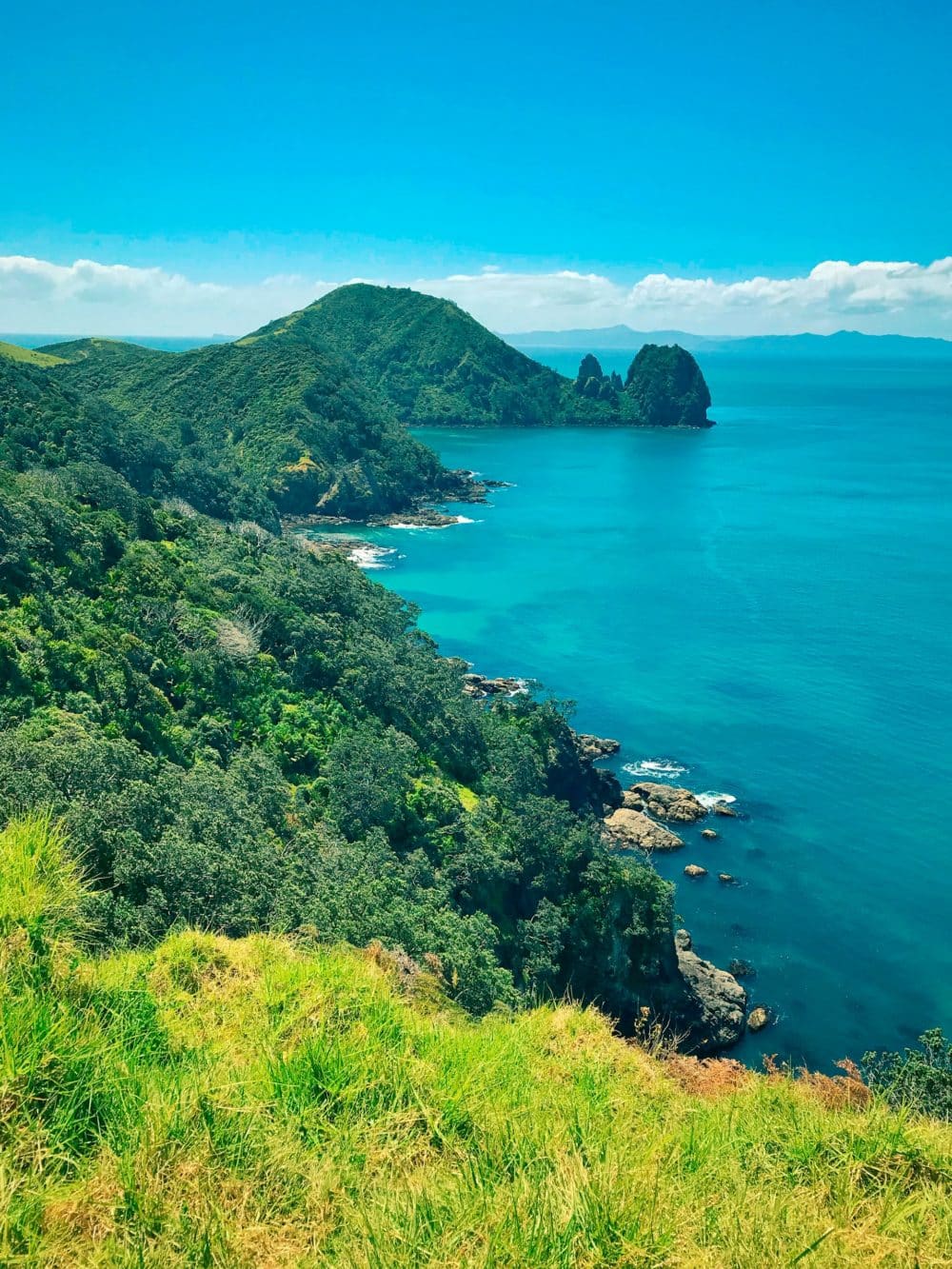 New Zealand Borders Fully Reopened As France Also Ends All Covid Entry