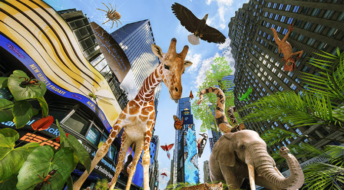 Concrete Jungle Offers Virtual Safari – Check Out Times Square in NYC