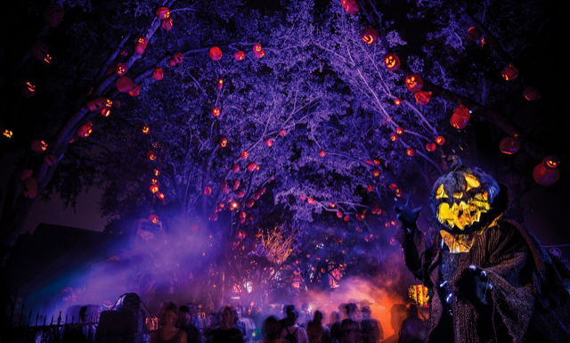 What a Horror! Terror Takes Root at Universal Studios Florida