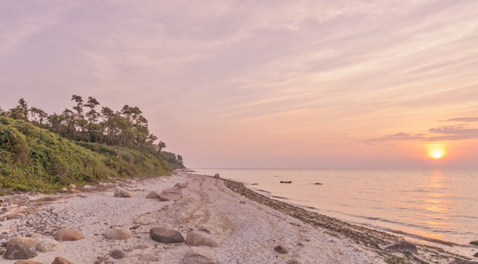 North Fork, the Hamptons’ Less Flamboyant Little Sister