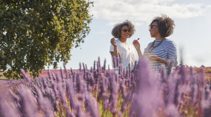 AAT Kings Holding ‘What’s New’ Webinars in October