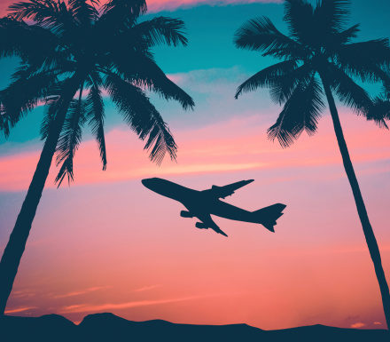 WTTC Calls for Establishment of New Caribbean Airline