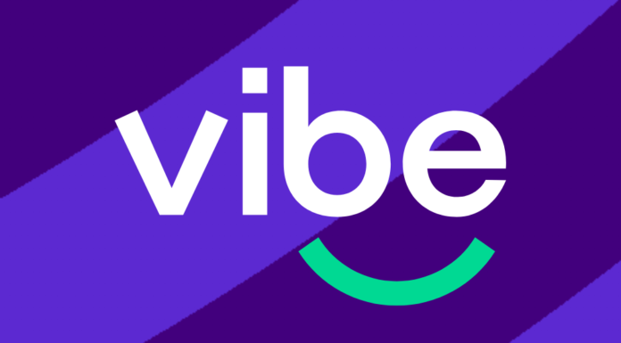 Vibe and P&P Group Announce Steve Barrass as Interim CEO