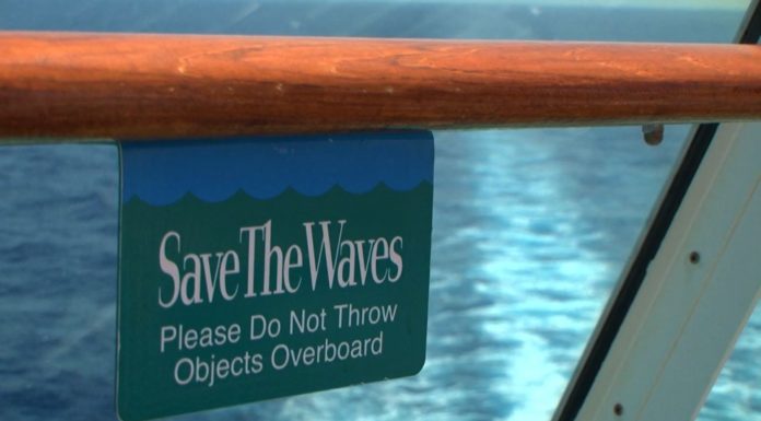 Royal Caribbean Group Celebrates 30 Years of ‘Save the Waves’