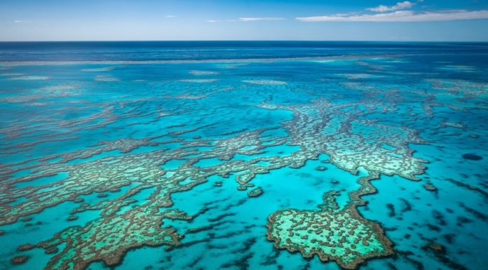 AAT Kings’ Gary Skilling Acting UK Sales Manager