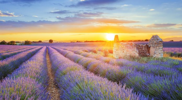 France to Become the Most Visited Destination by 2025