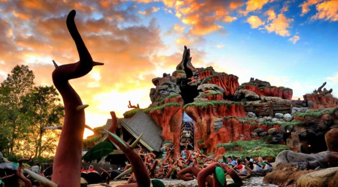 Disney’s Splash Mountain has Closed- Superfans Are Selling Water from it Online