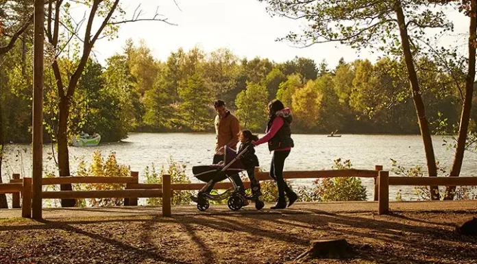 Center Parcs Scraps Plans for Latest UK Park