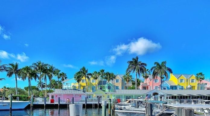 Dinner at The Ivy with Visit Lauderdale