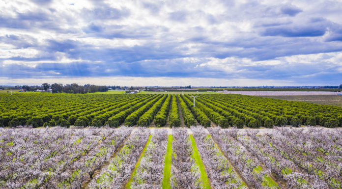 Top 6 Spots in California’s Central Valley